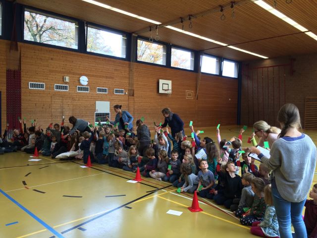 Steinhofrat